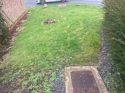 Our Little Green Space