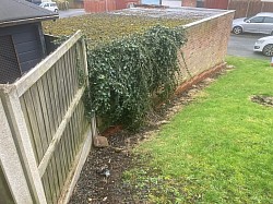 Woodfields Green Open Space