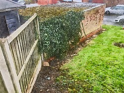 Natural Border Investment