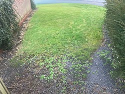 Woodfields Prized Green Open Space